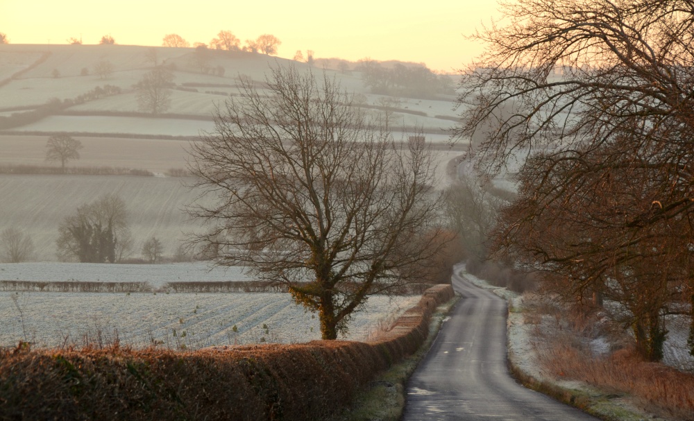 Photograph of Winters Morning