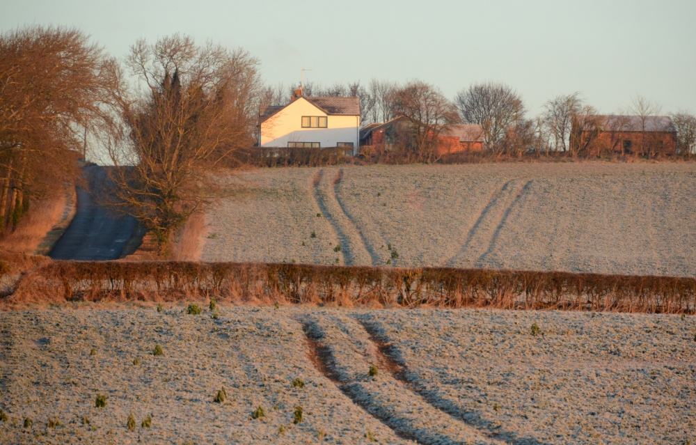 Photograph of Frosty Morning