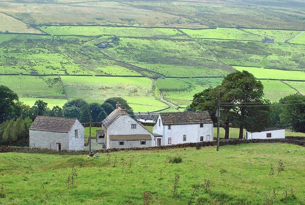 Photograph of Loaning Head Garrigill overlooking black band 1963...yesterday.