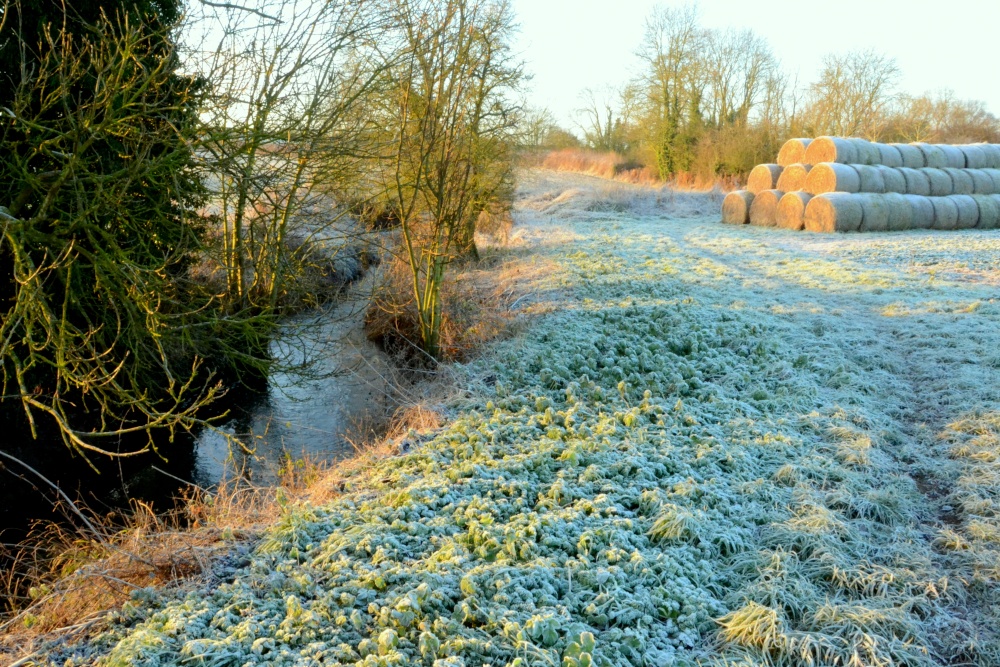Photograph of Winter scene