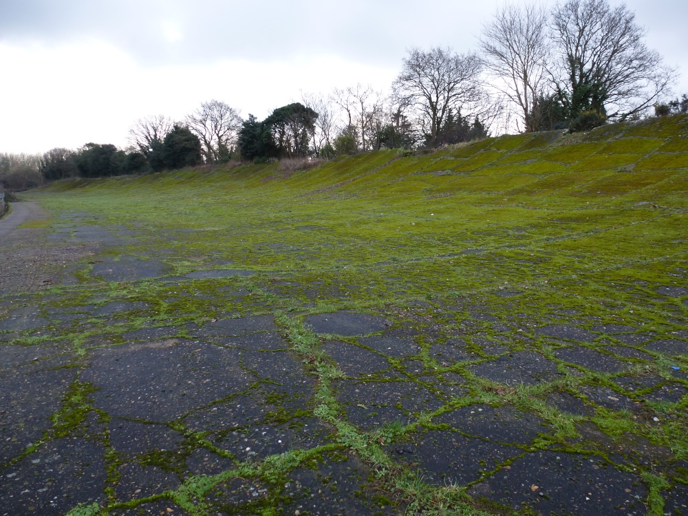 The Last Lap ??? photo by Vince Hawthorn