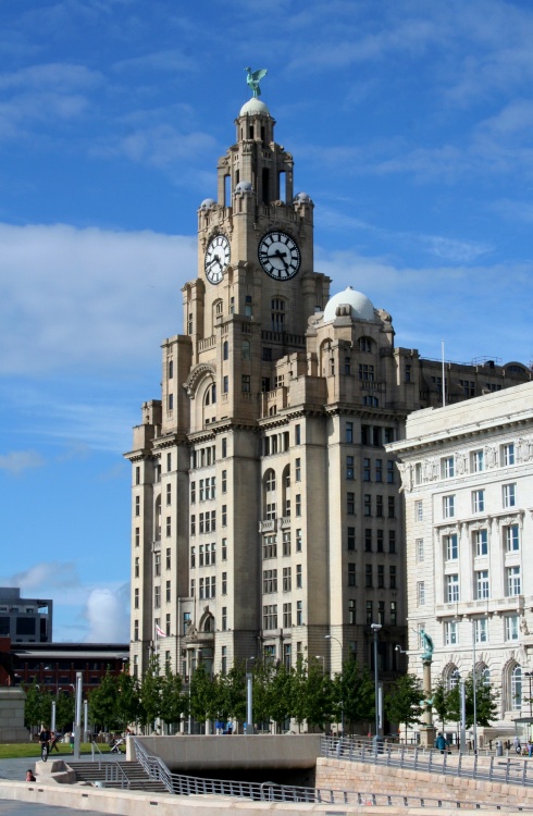 Liver Building