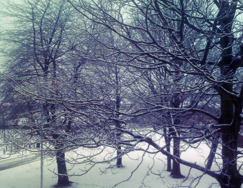 Towards The Paddock Royton