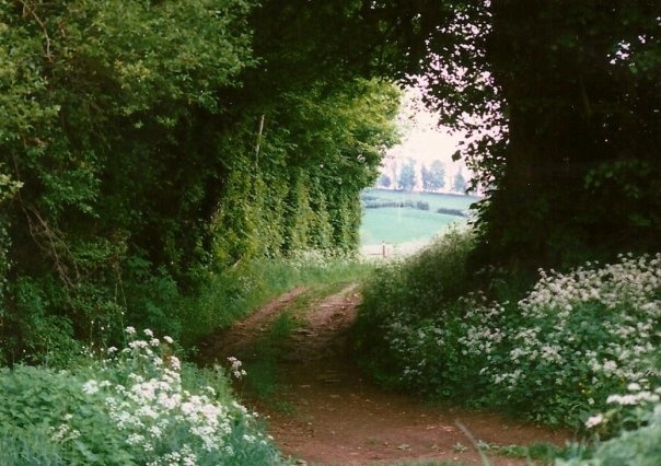 Green Lane