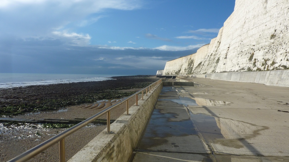 Saltdean undercliff walk, 4th November 2014