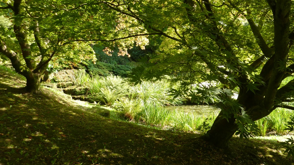 A view through the trees at Wakehurst, 8th September 2014