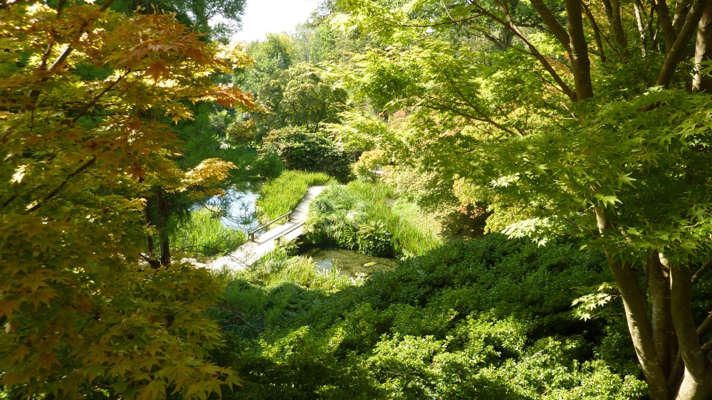 A beautiful day at Wakehurst, 8th September 2014