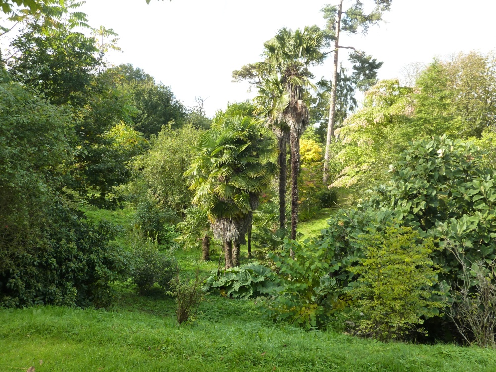 Borde Hill, 0th October 2012