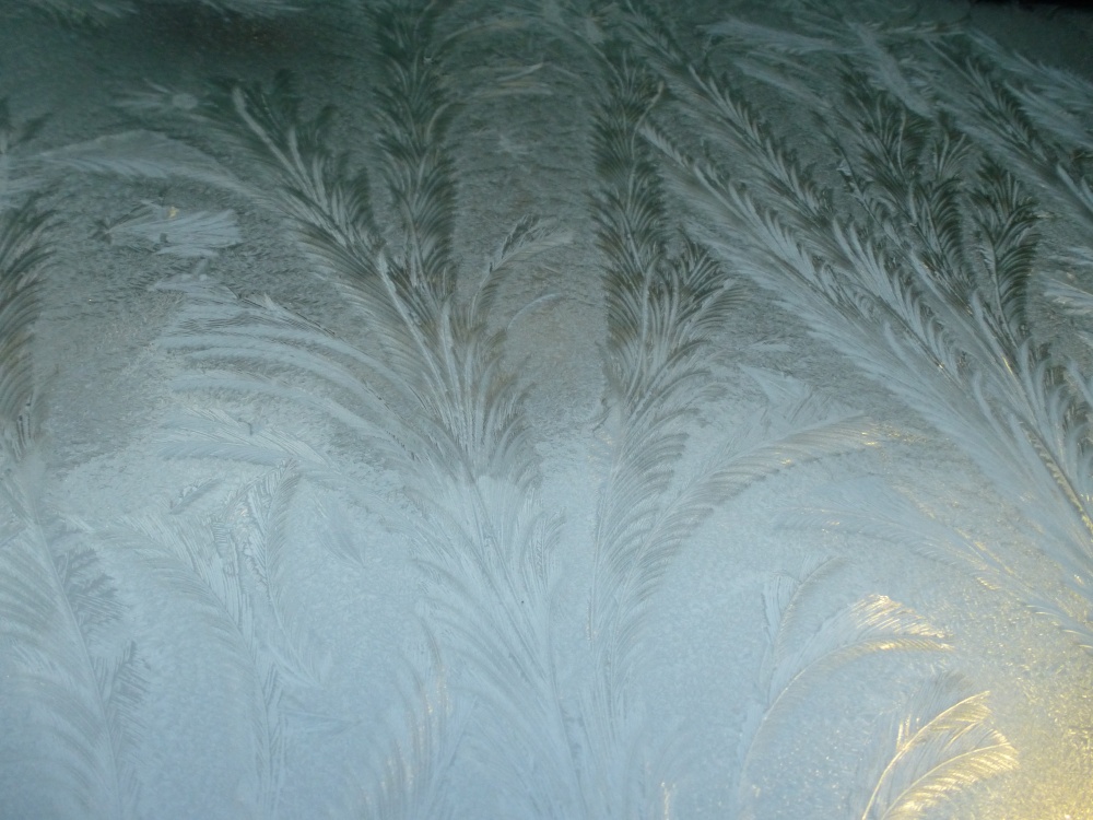 The Pretty Side Of Nature