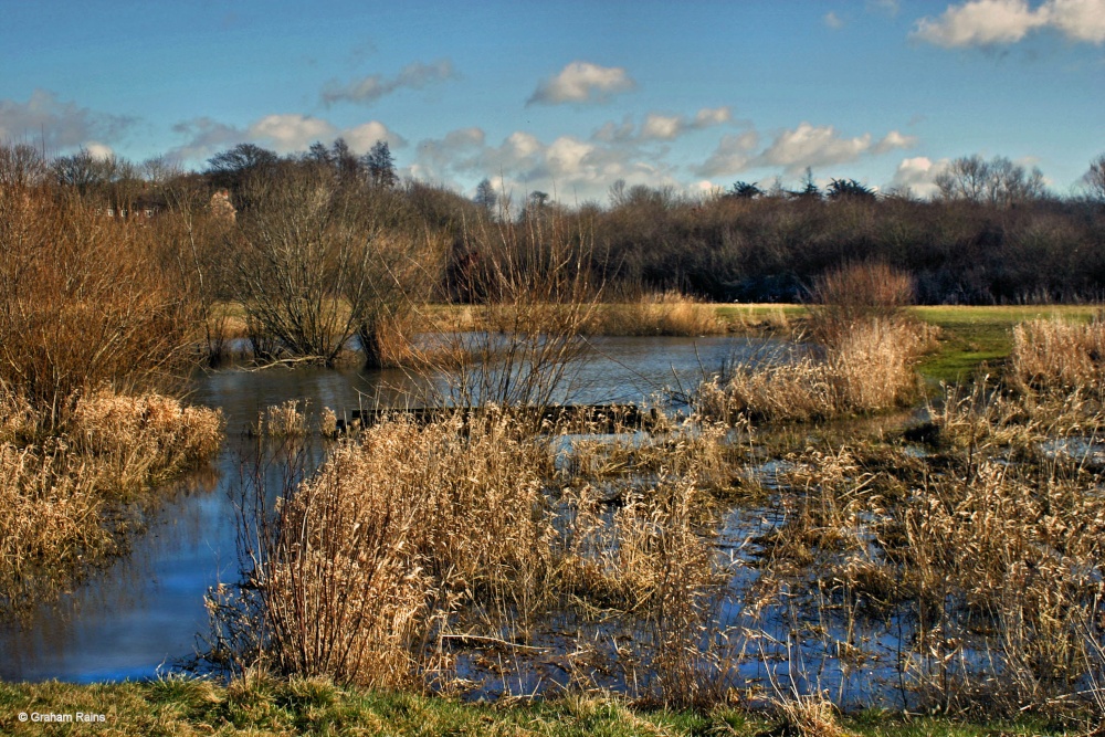 Blandford Forum, Dorset.