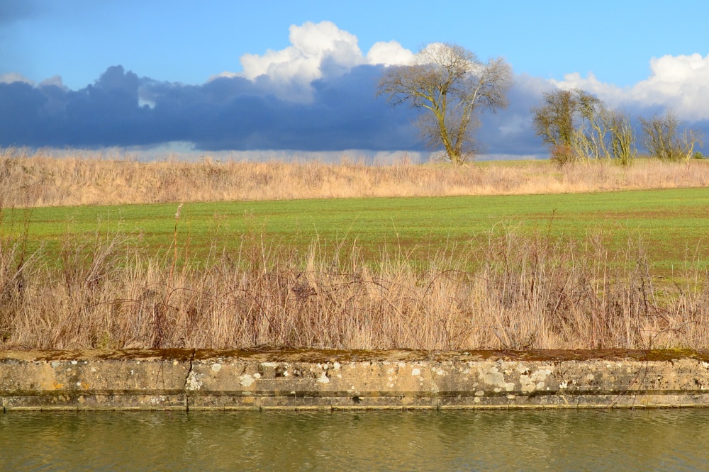 There's A Storm Brewing