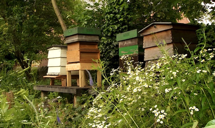 Bee Hives at Washington Old Hall photo by Richard Jennings