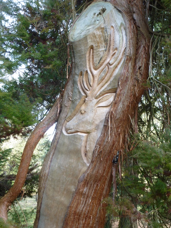 Traditional Japanese Tachigi-Bori Sculpture by Masa Susuki, Wakehurst, 10th March 2015