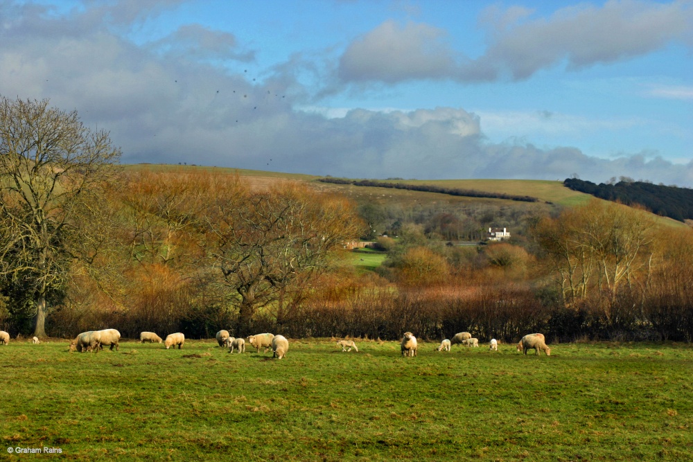 Stour Valley Winter, North Dorset Trailway.