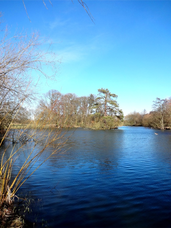The Lake at Nidd on a cold winters afternoon.