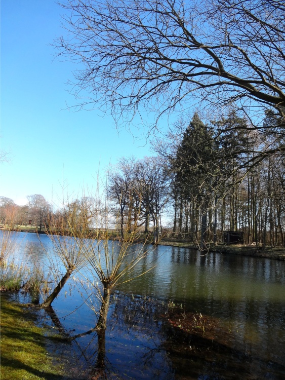 The Lake At Nidd, Winter afternoon.