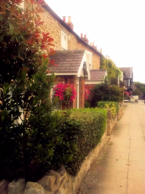 East Boldon Village, Tyne & Wear