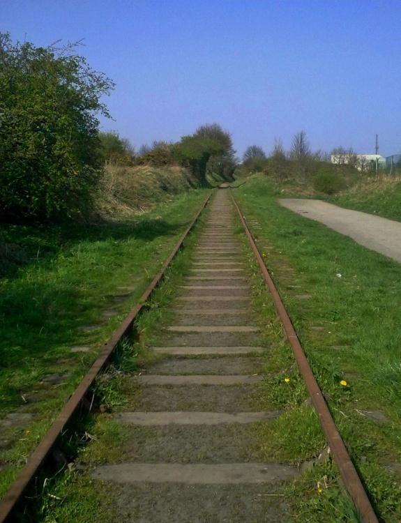 Bowes Railway at Eighton Banks