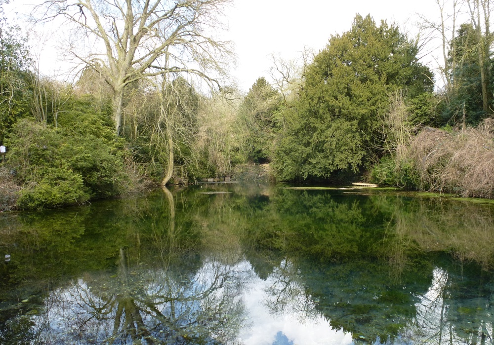 Silent Pool photo by Vince Hawthorn