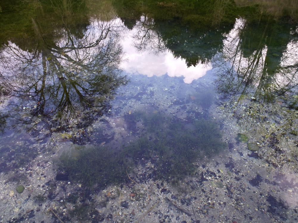 Clarity and Reflections