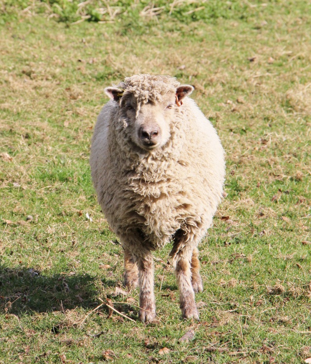 Watching You Watching Me