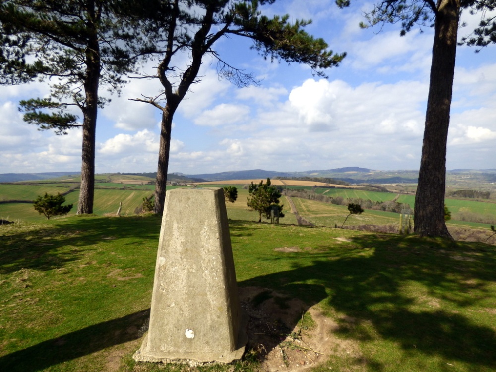 Photograph of Chideock