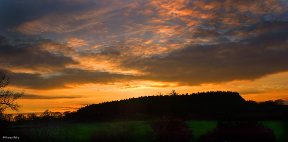 Stour Valley Spring, North Dorset.