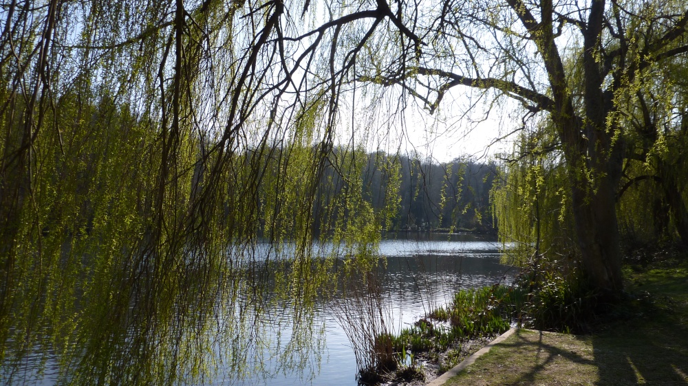 Reigate Priory Park on a beautiful Spring day, 7th April 2015