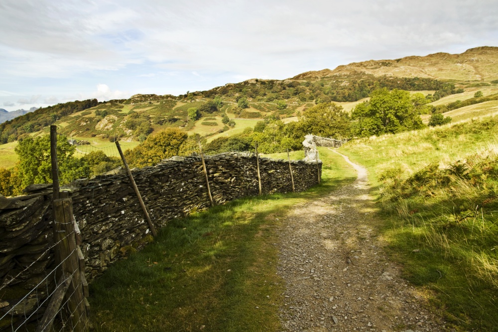 Skelghyll from Robin Lane