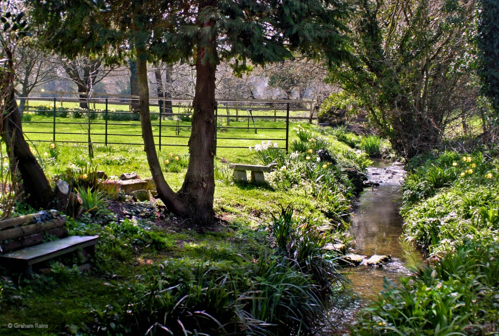 Stour Valley Spring, North Dorset.