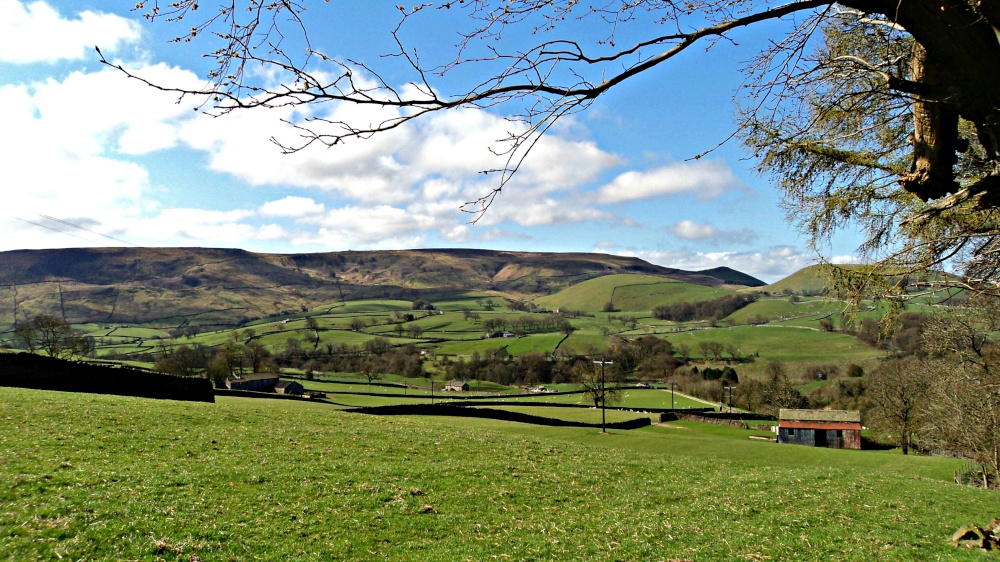 Burnsell and Thorpe fell