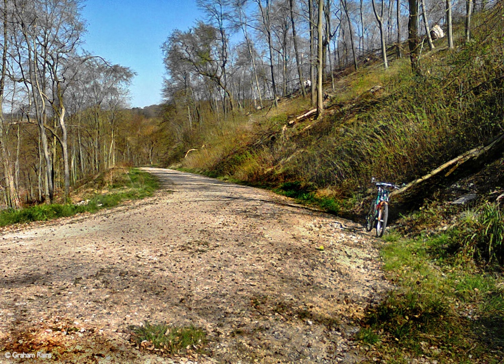 Stour Valley Spring, North Dorset.