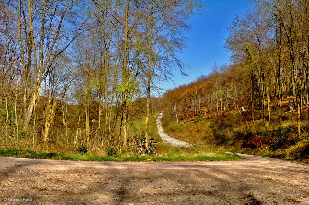 Stour Valley Spring, North Dorset.