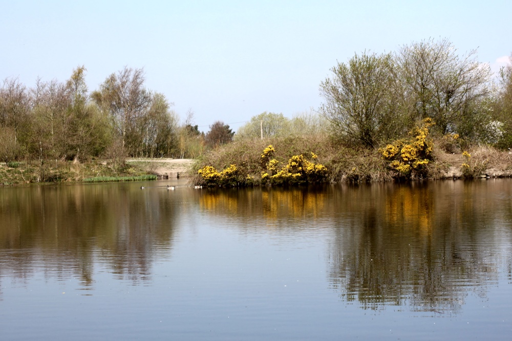 Photograph of Jack House Nature Reserve