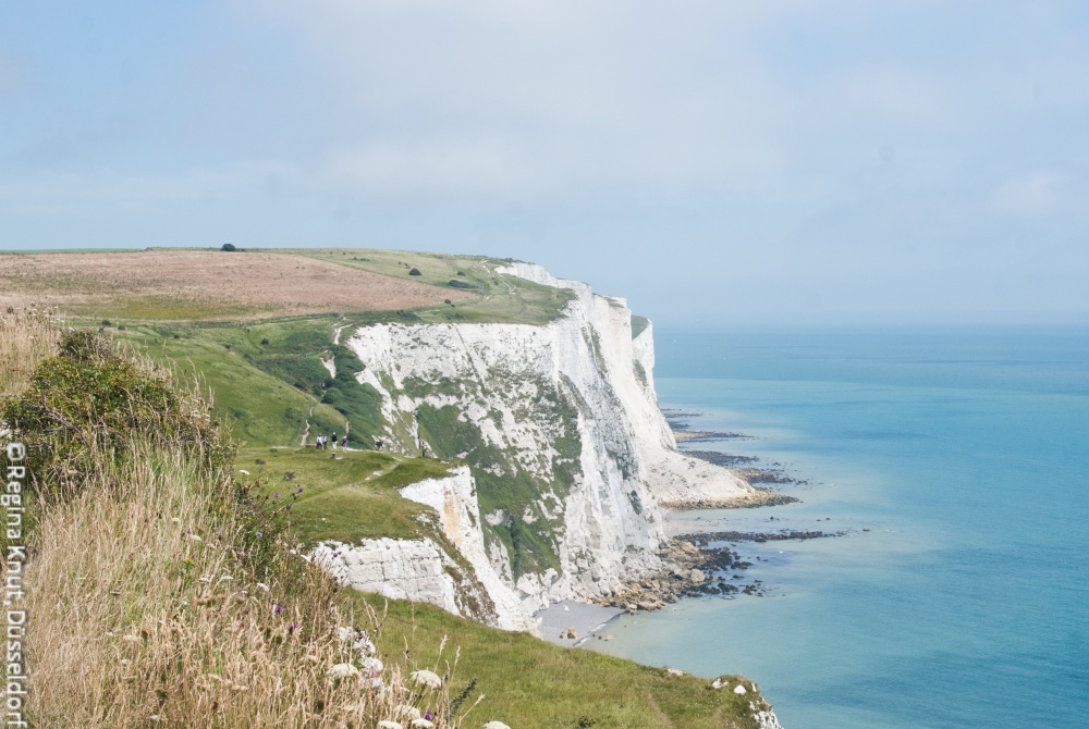White Cliffs of Dover 1