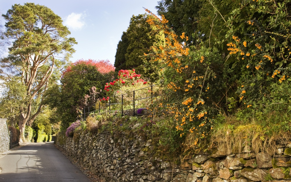 Sweden Bridge Lane 1