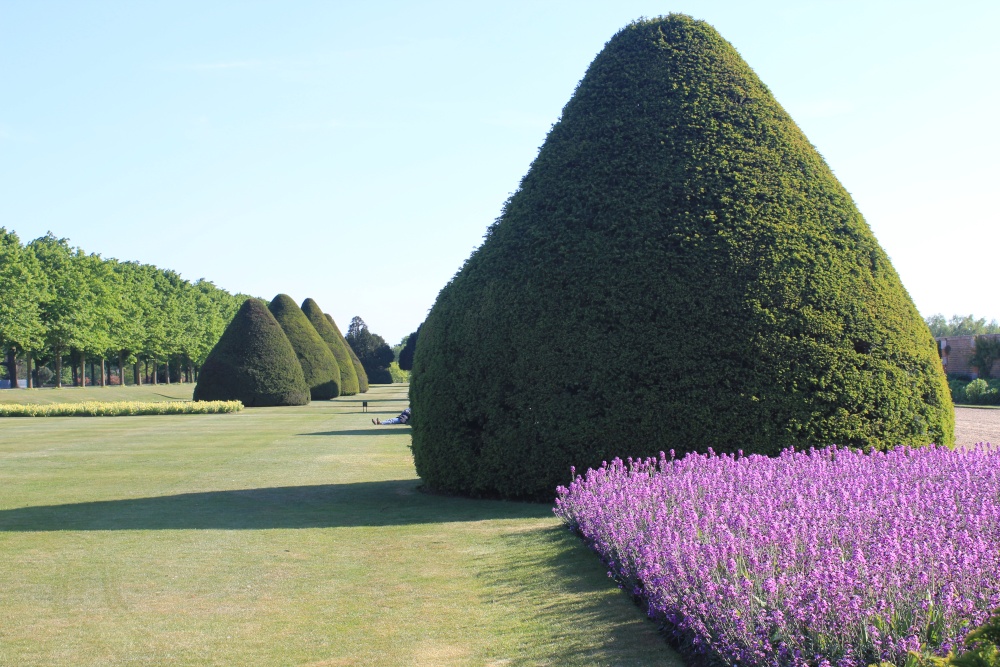 Hampton Court Palace & Gardens, EastMolesey, Surry
