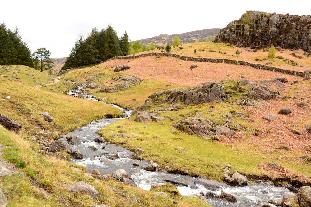 Blea Tarn Beck