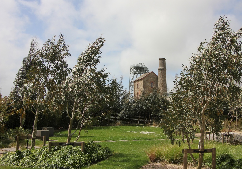 Heartlands and the Wind. photo by Vince Hawthorn