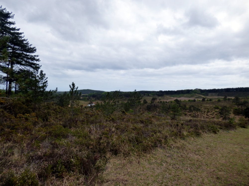 Woodbury Common