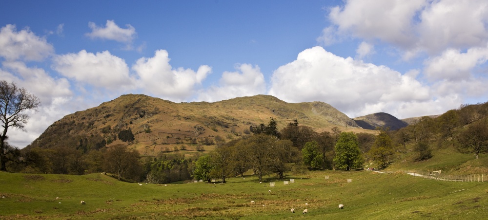 Nab Scar from Rydal Park