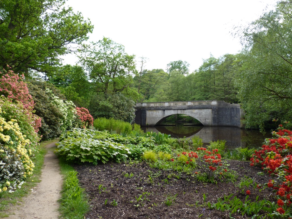 Savill Garden, Bridge