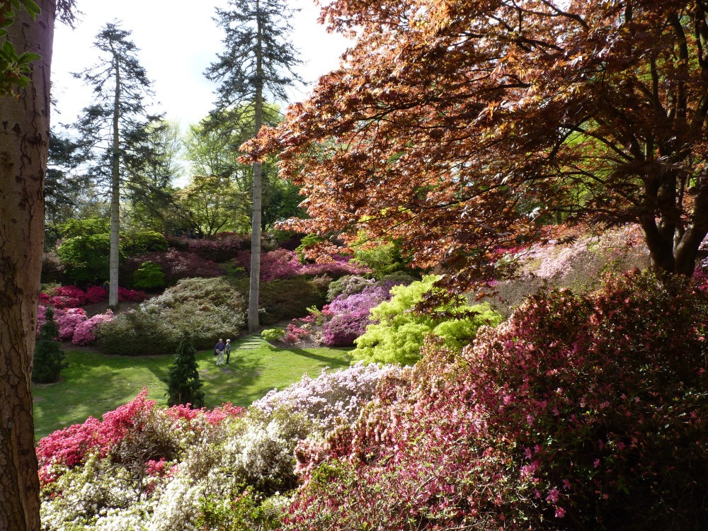 The Punch Bowl, Virginia Water photo by Elisabeth  Deedman