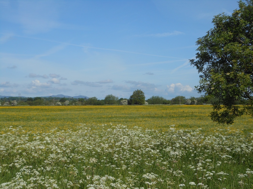 Tewkesbury, Gloucestershire