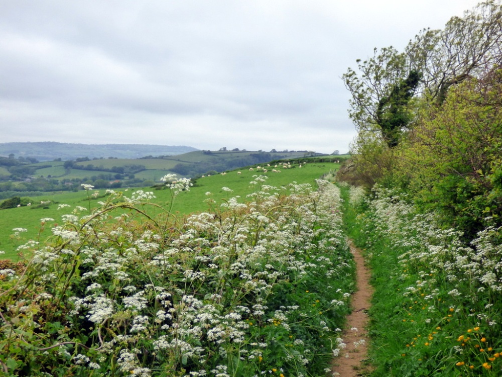 Photograph of Chideock