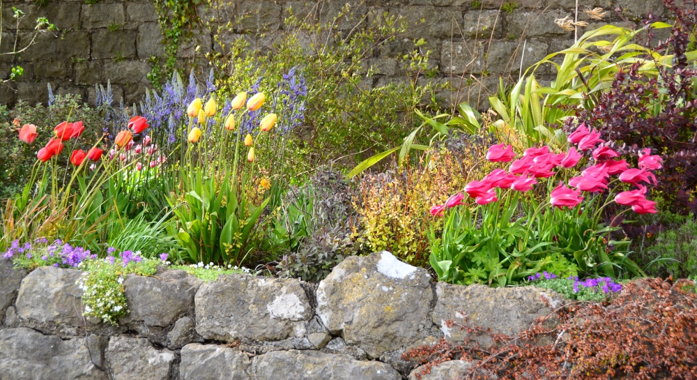 A blustery afternoon