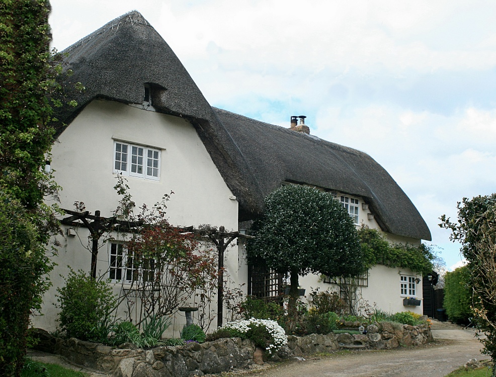 A Hodson Thatch