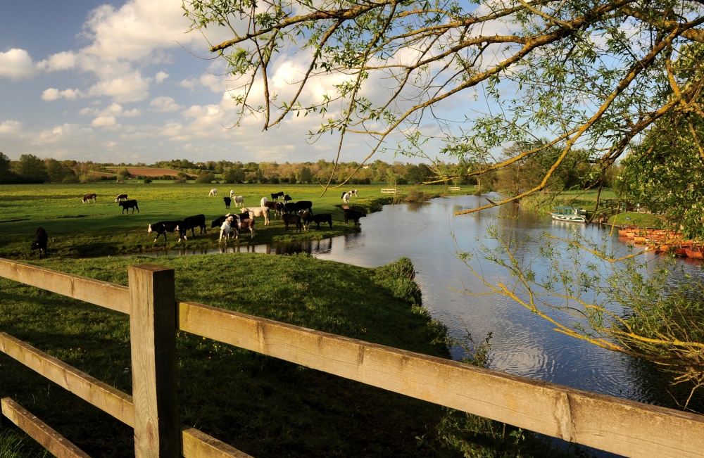 Rural tranquillity along the River Stour photo by Ilaria Battaini