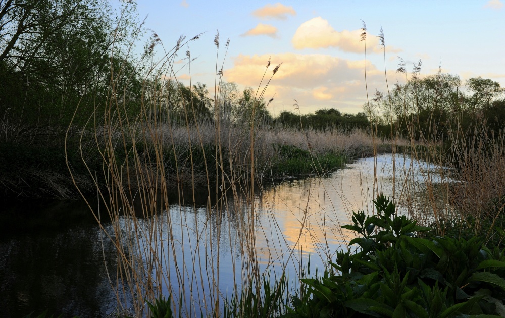 Spring evening in the Dedham Vale