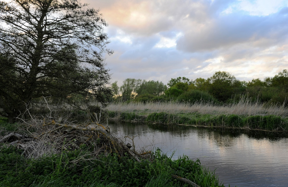 Peaceful evening in the Dedham Vale photo by Ilaria Battaini